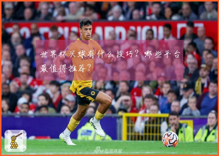 世界杯买球有什么技巧？哪些平台最值得推荐？