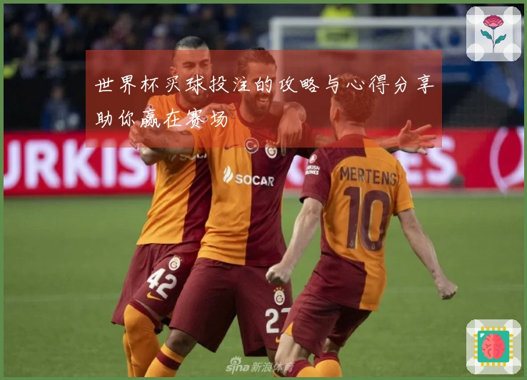 世界杯买球投注的攻略与心得分享助你赢在赛场