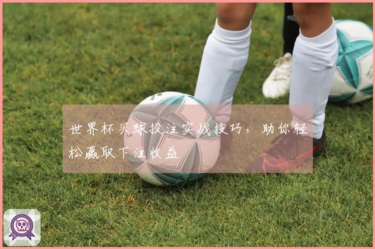 世界杯买球投注实战技巧，助你轻松赢取下注收益