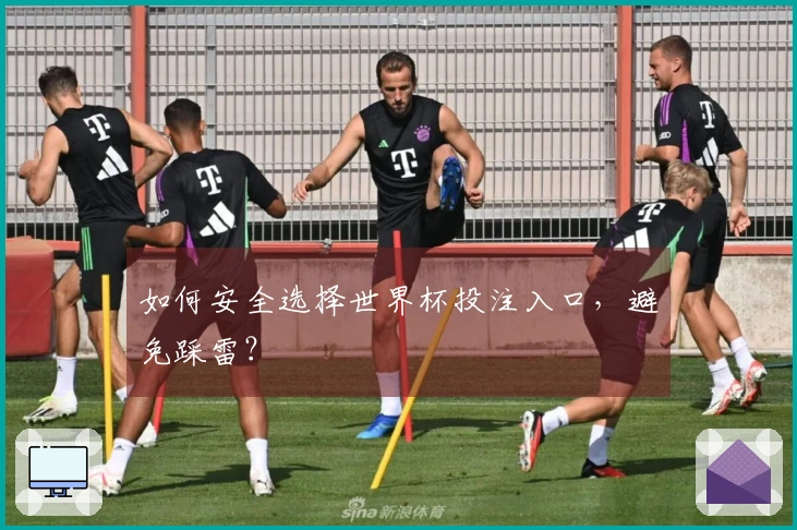 如何安全选择世界杯投注入口，避免踩雷？