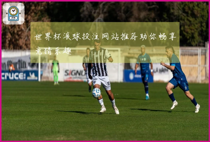世界杯滚球投注网站推荐助你畅享竞猜乐趣