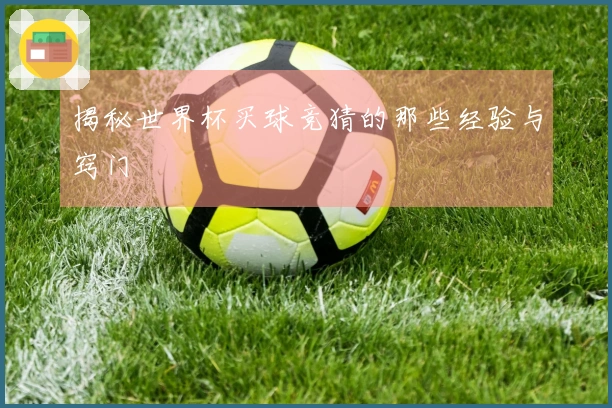 揭秘世界杯买球竞猜的那些经验与窍门
