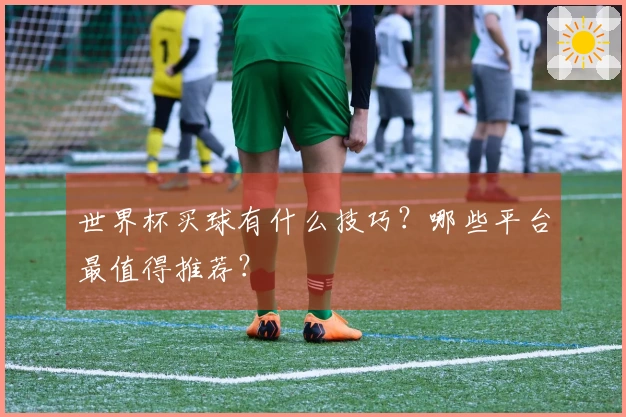 世界杯买球有什么技巧？哪些平台最值得推荐？