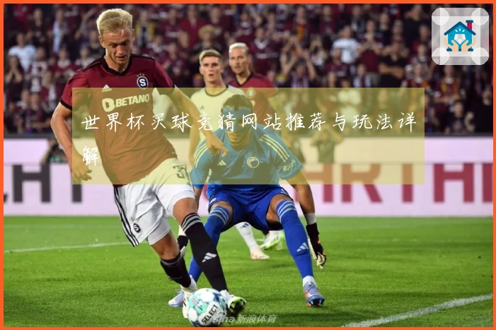 世界杯买球竞猜网站推荐与玩法详解