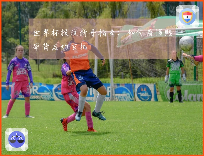 世界杯投注新手指南：如何看懂赔率背后的玄机