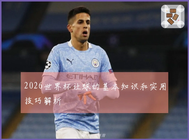 2026世界杯让球的基本知识和实用技巧解析