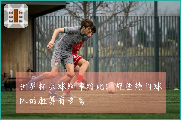世界杯买球赔率对比：那些热门球队的胜算有多高