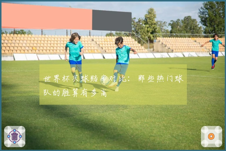 世界杯买球赔率对比：那些热门球队的胜算有多高